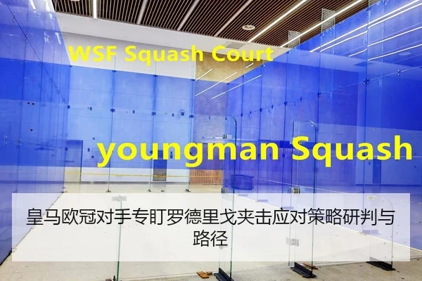 皇马欧冠对手专盯罗德里戈夹击应对策略研判与路径